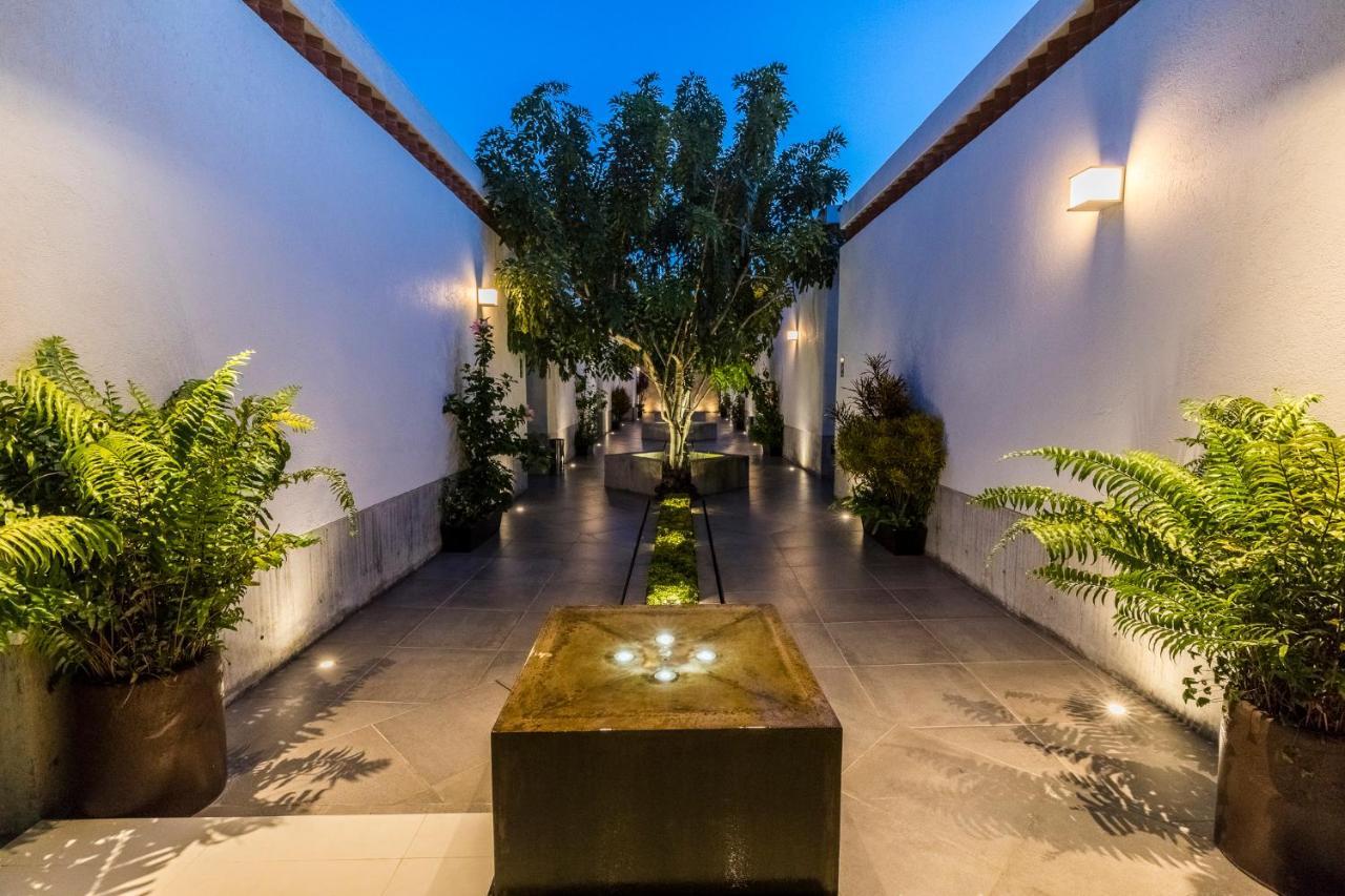 Oaxaca Marialicia Suites, Hotel Boutique מראה חיצוני תמונה